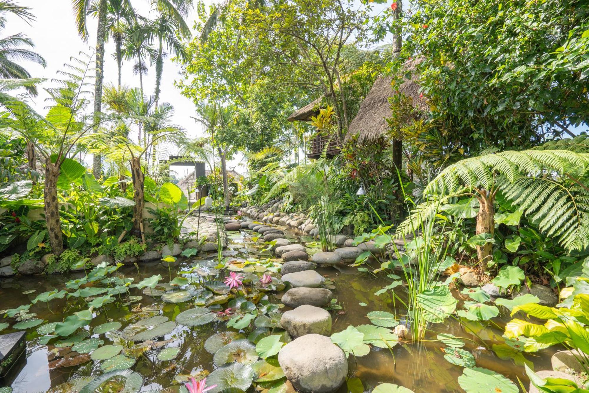 Awan Putih Resort Паянган Экстерьер фото
